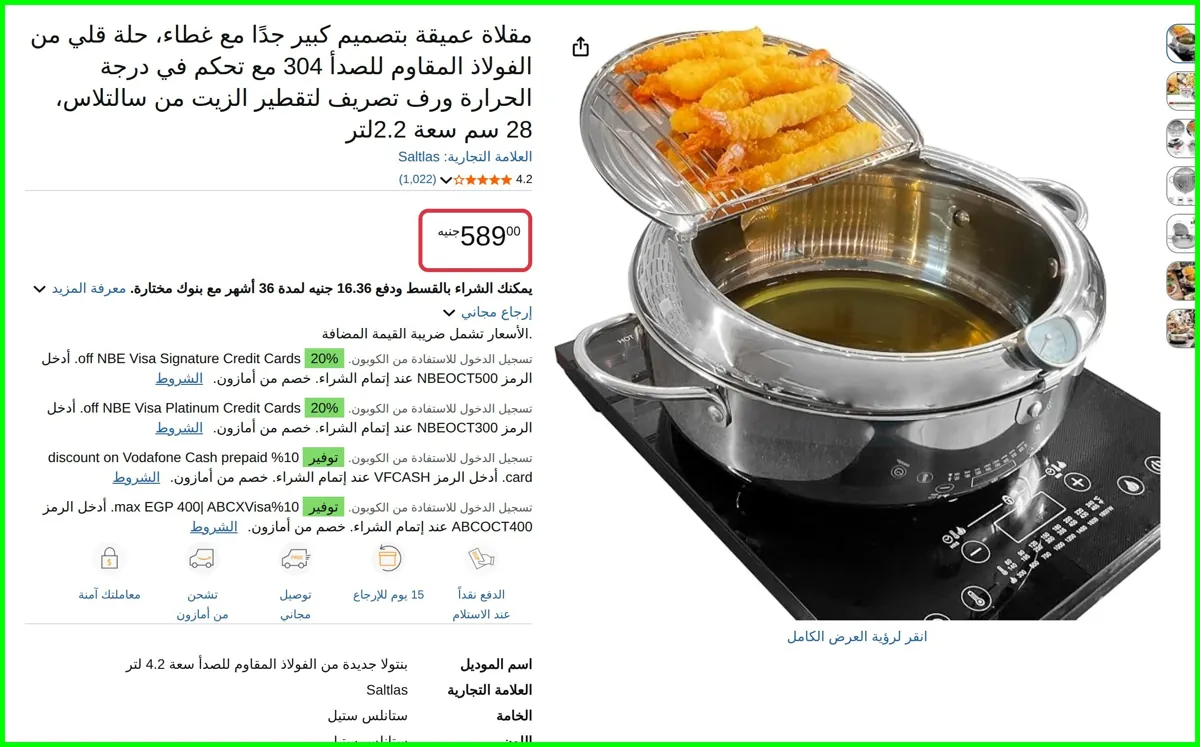 صورة مقلاة عميقة بتصميم كبير جدًا مع غطاء، حلة قلي من الفولاذ المقاوم للصدأ 304 مع تحكم في درجة الحرارة ورف تصريف لتقطير الزيت 28 سم سعة 2.2لتر من سالتلاس