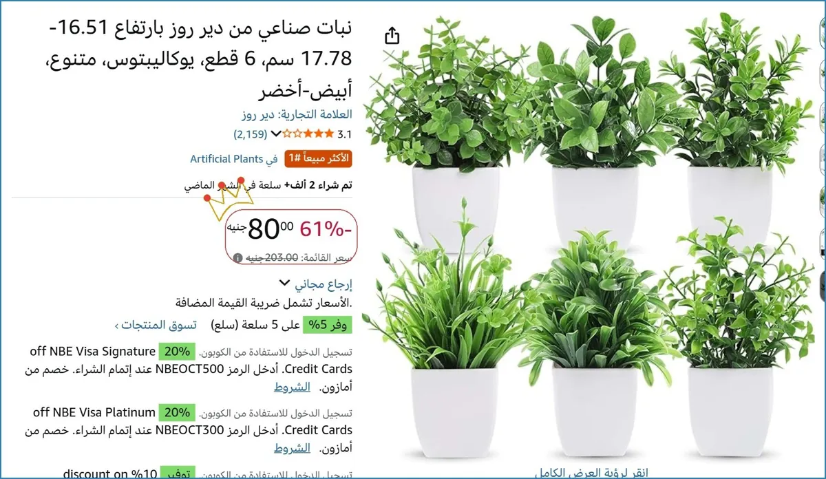 صورة نبات صناعي من دير روز بارتفاع 16.51-17.78 سم، 6 قطع، يوكاليبتوس، متنوع، أبيض-أخضر