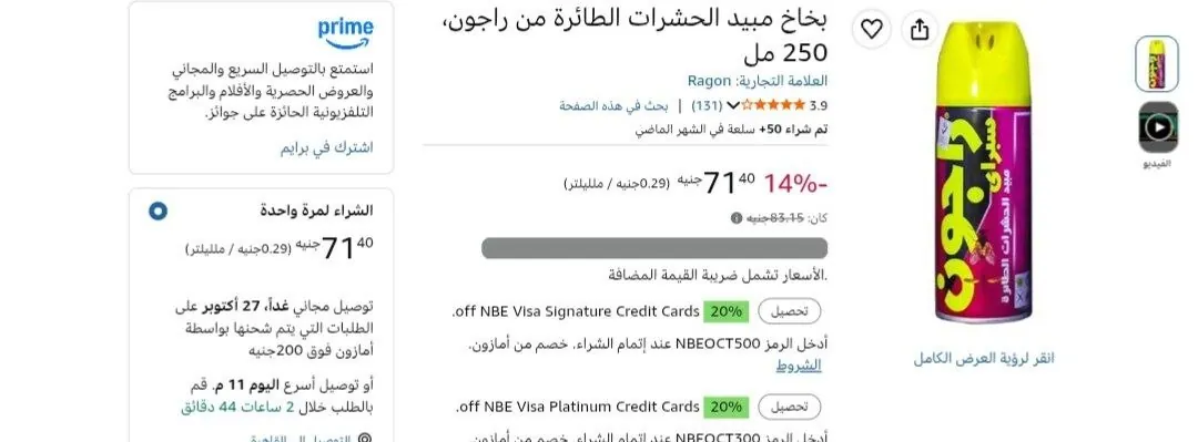 صورة بخاخ مبيد الحشرات الطائرة من راجون، 250 مل