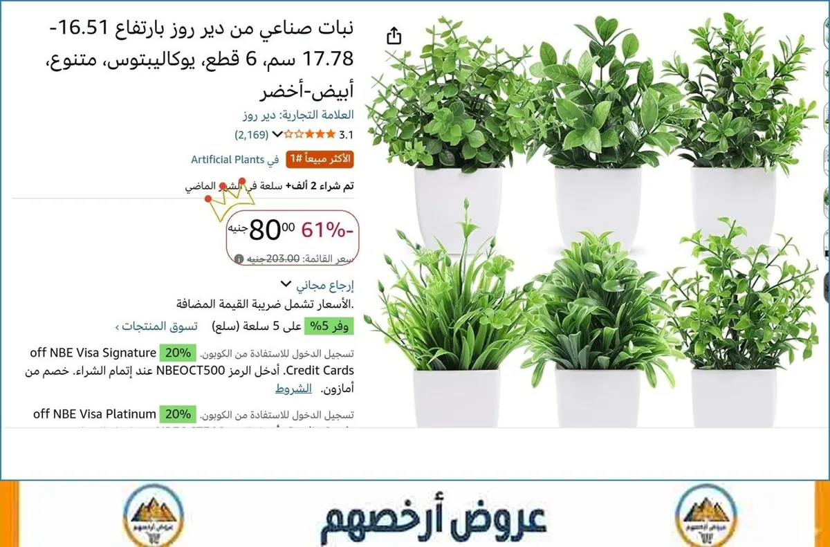 صورة نبات صناعي من دير روز بارتفاع 16.51-17.78 سم، 6 قطع، يوكاليبتوس، متنوع، أبيض-أخضر