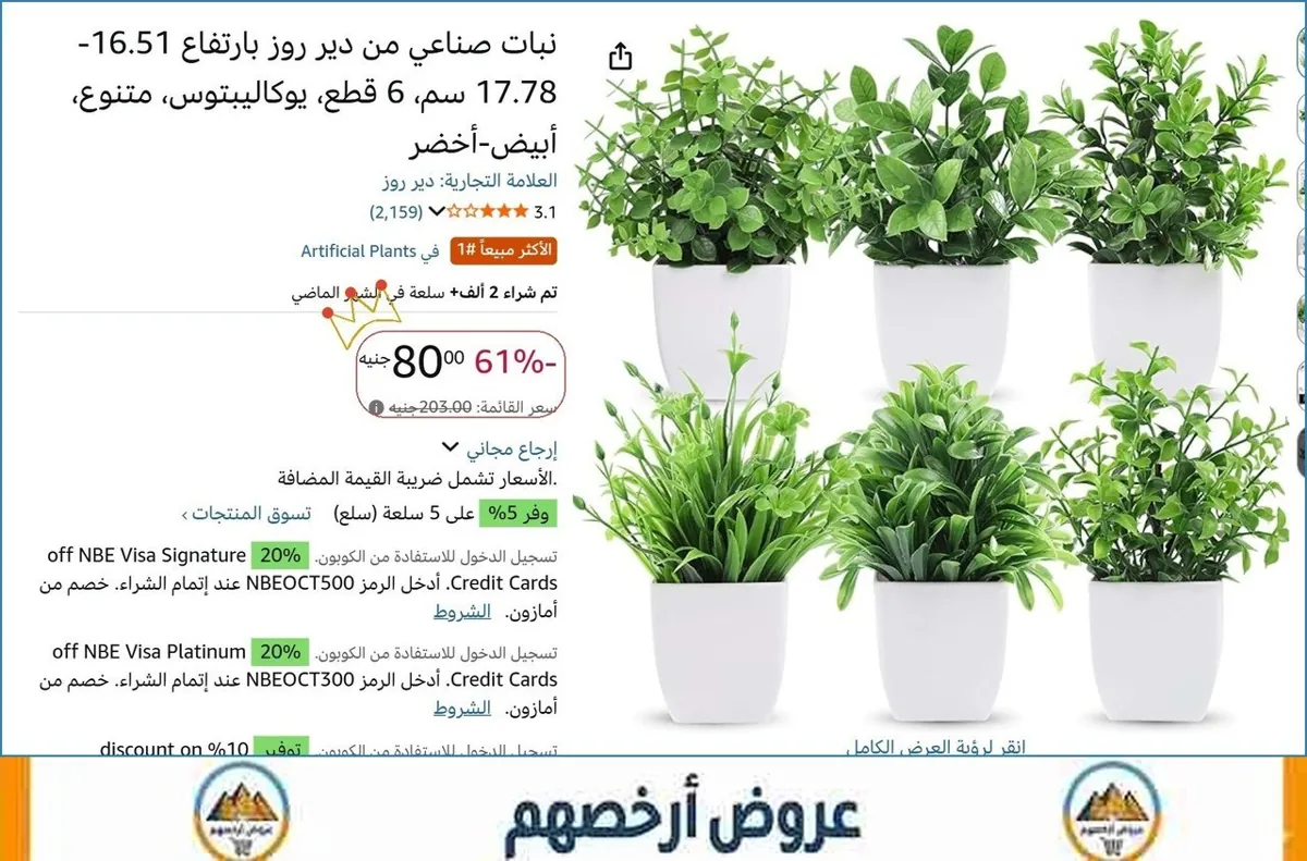 صورة نبات صناعي من دير روز بارتفاع 16.51-17.78 سم، 6 قطع، يوكاليبتوس، متنوع، أبيض-أخضر