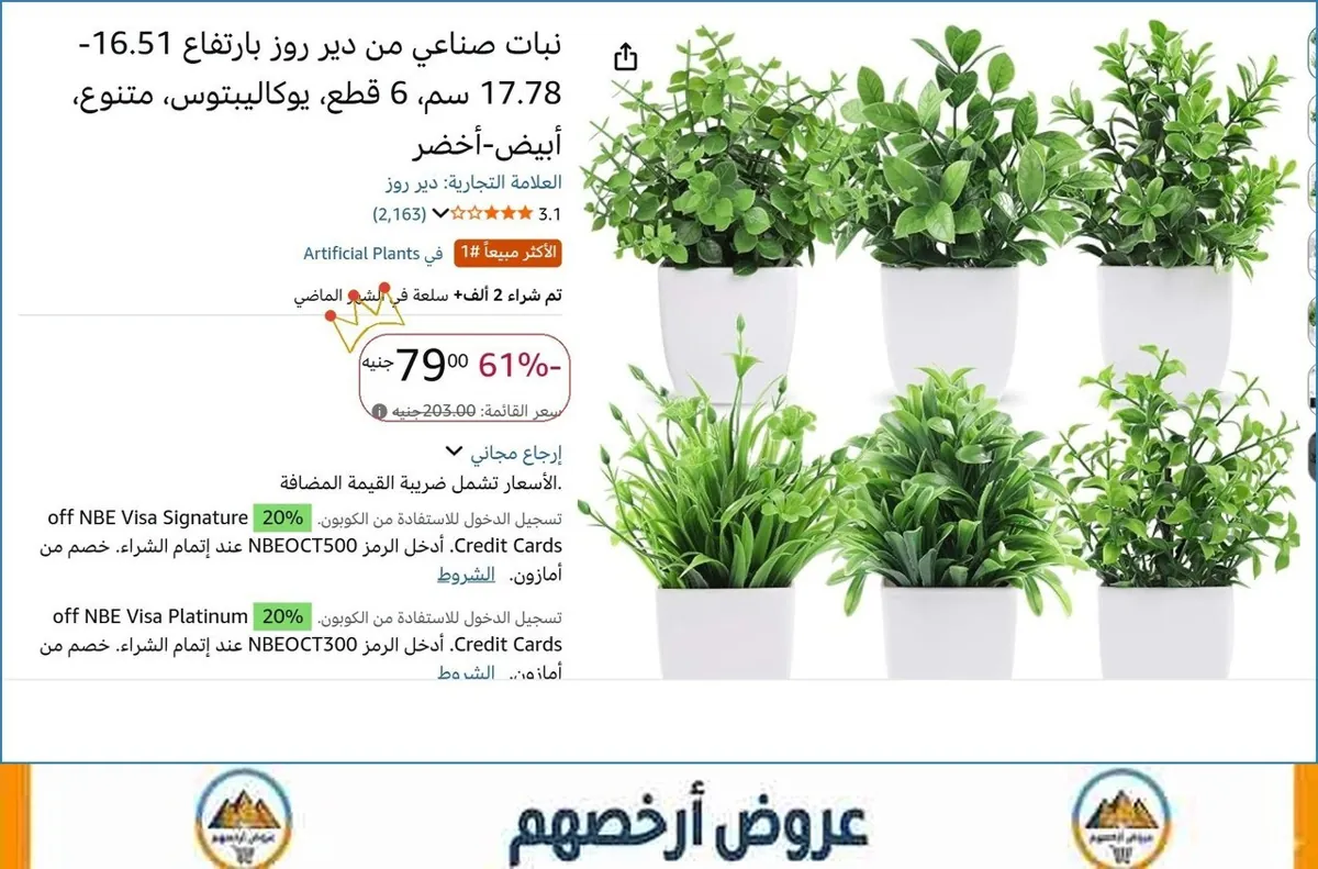 صورة نبات صناعي من دير روز بارتفاع 16.51-17.78 سم، 6 قطع، يوكاليبتوس، متنوع، أبيض-أخضر