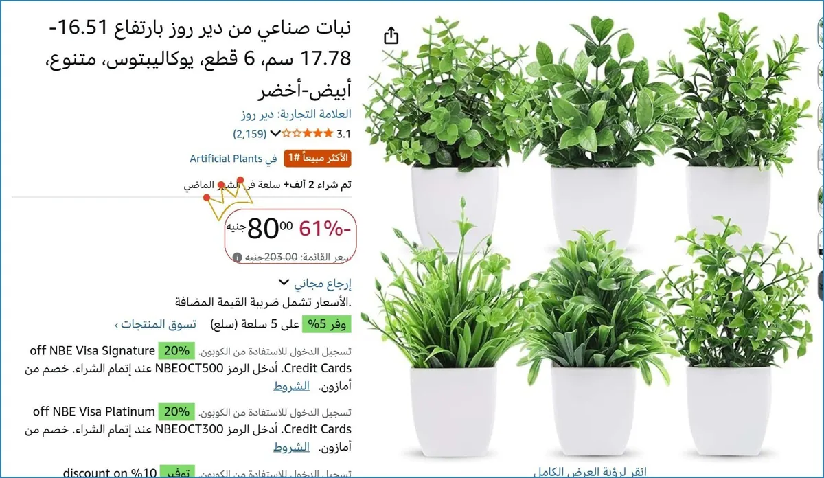 صورة نبات صناعي من دير روز بارتفاع 16.51-17.78 سم، 6 قطع، يوكاليبتوس، متنوع، أبيض-أخضر