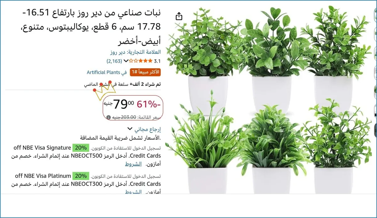 صورة نبات صناعي من دير روز بارتفاع 16.51-17.78 سم، 6 قطع، يوكاليبتوس، متنوع، أبيض-أخضر