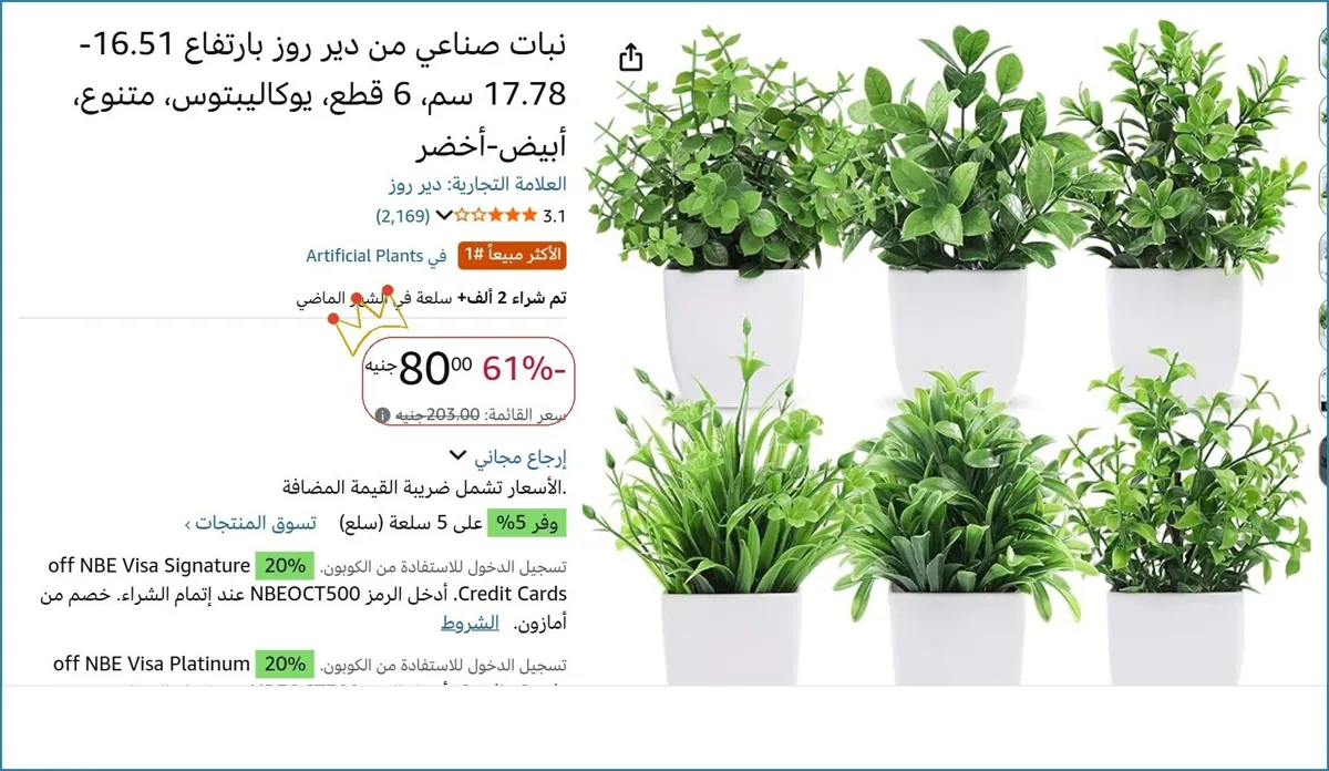 صورة نبات صناعي من دير روز بارتفاع 16.51-17.78 سم، 6 قطع، يوكاليبتوس، متنوع، أبيض-أخضر